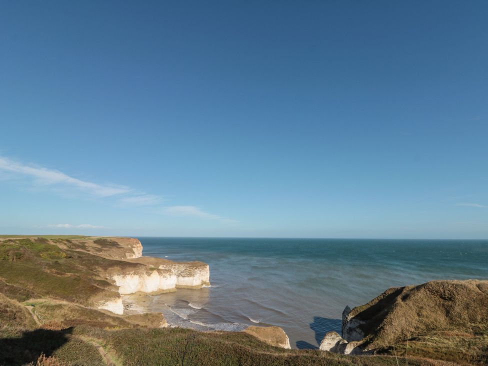 Kittiwake - North Yorkshire (incl. Whitby) - 1145158 - thumbnail photo 28