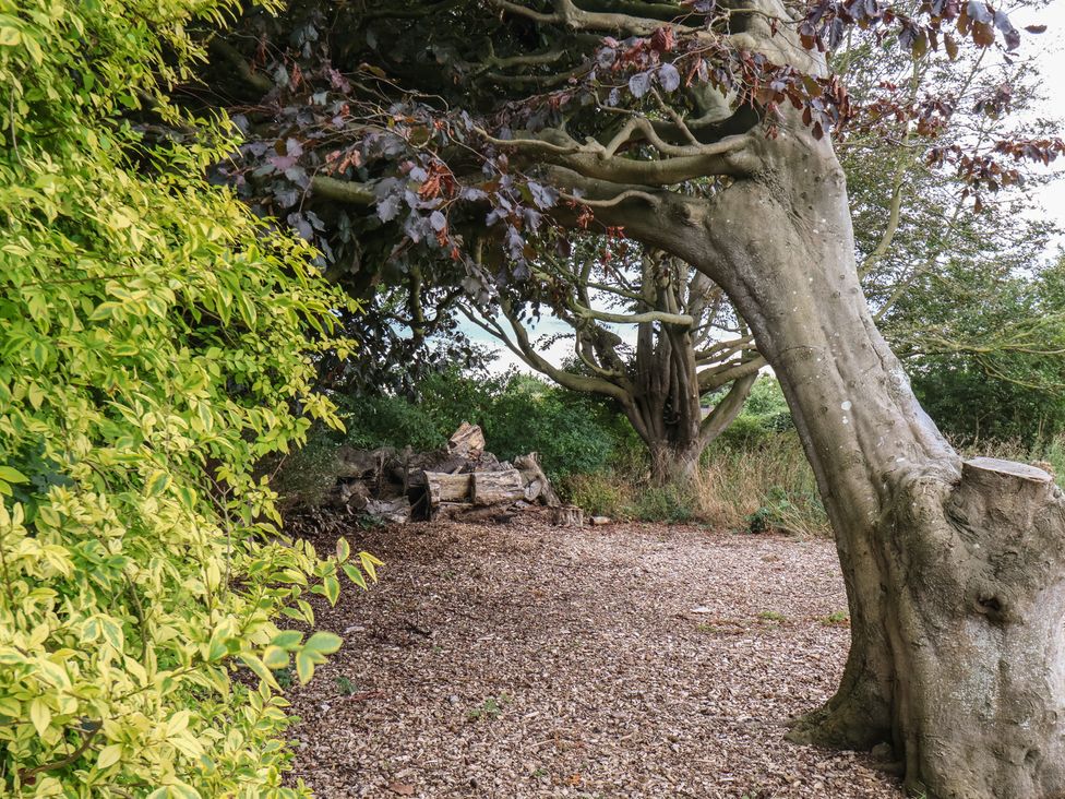 A garden with trees and gravel at Kittiwake in Flamborough
