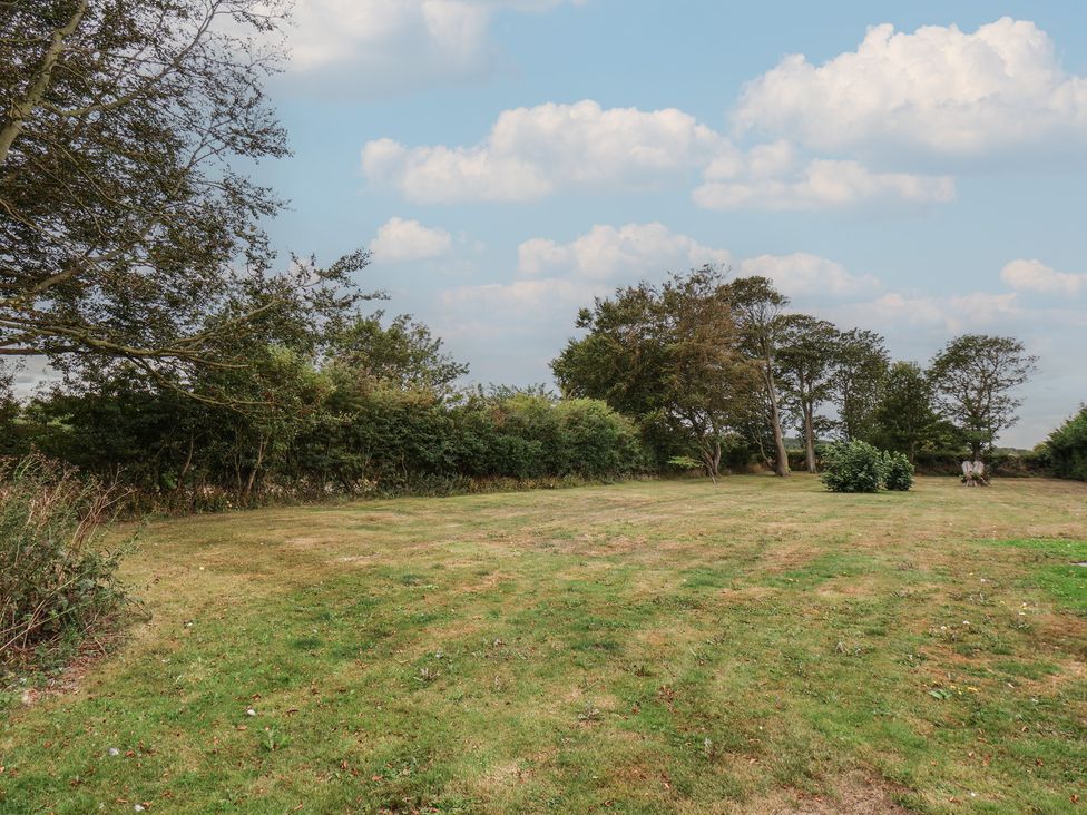 A garden area with grass and trees at Kittiwake in Flamborough