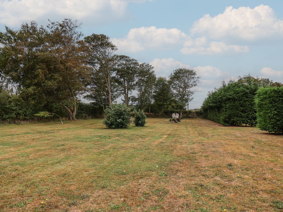 A garden with trees and bushes at Kittiwake in Flamborough
