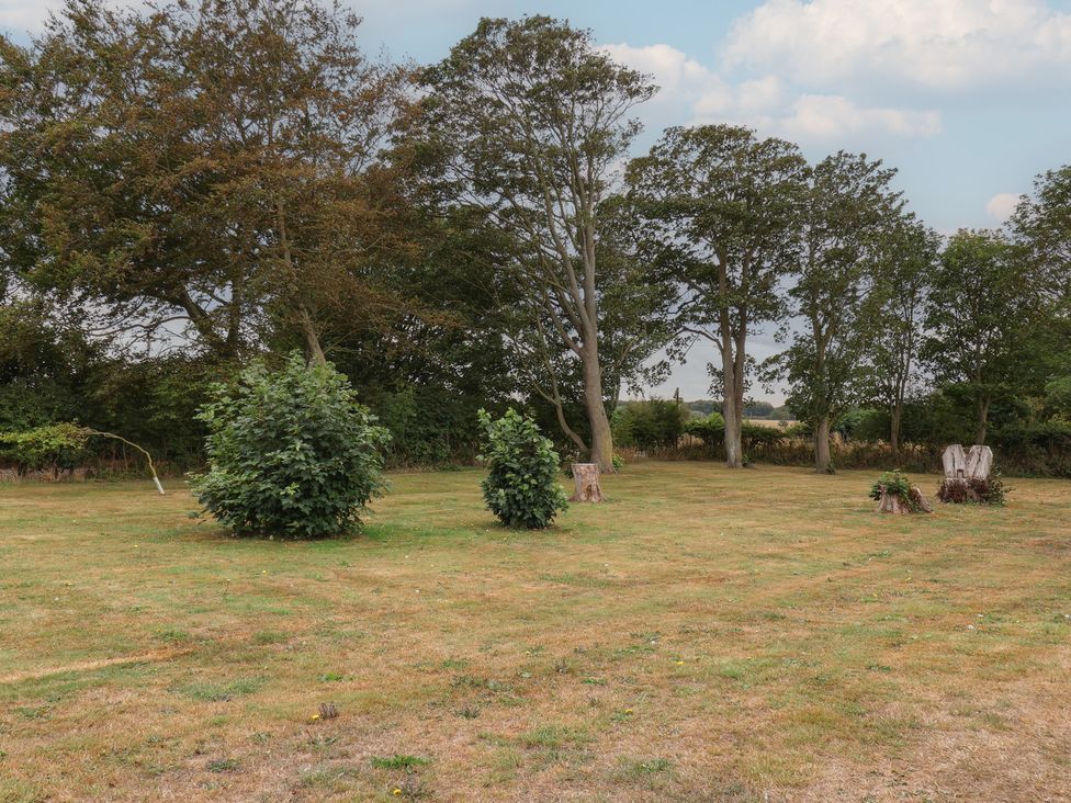 An outdoor area with trees and green bushes at Kittiwake in Flamborough