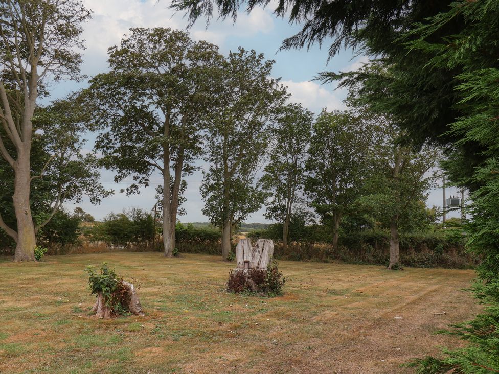 A garden area with trees and grass at Kittiwake Flamborough