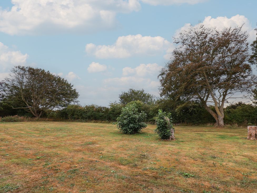 A grassy field with trees and bushes at Kittiwake in Flamborough