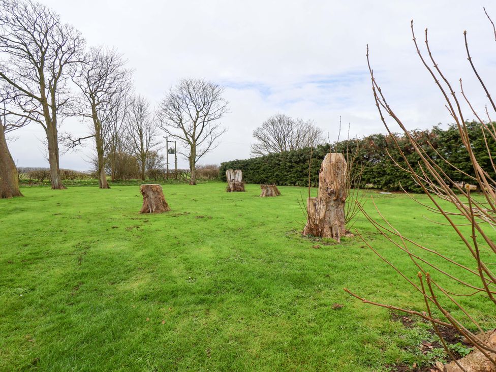 A garden with tree stumps and grass at Kittiwake, Flamborough