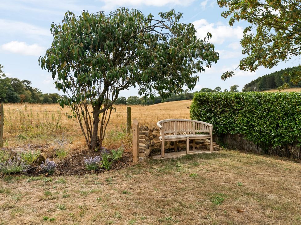 A garden with a bench and tree at 3 Olivers View in Brandsby