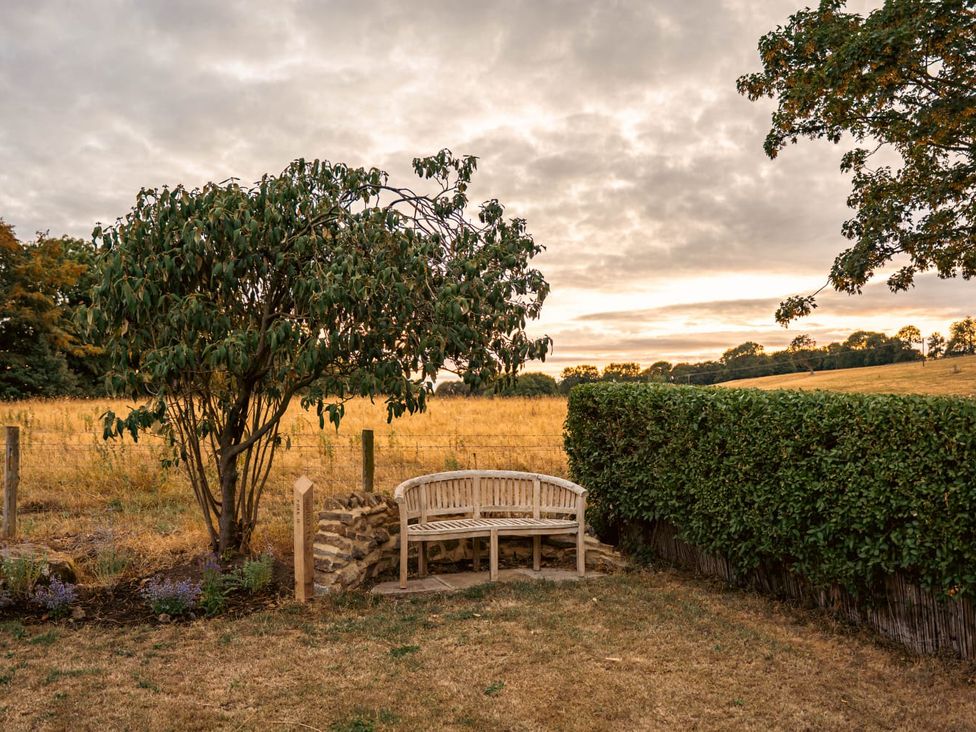 A garden with a bench and tree at 3 Olivers View in Brandsby