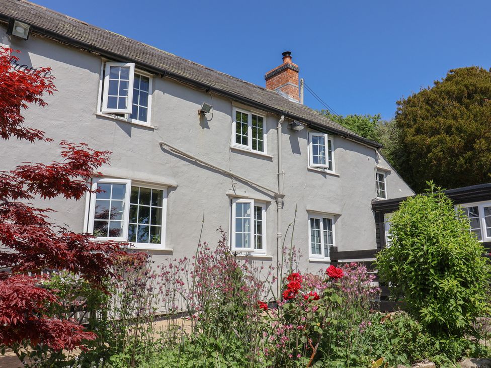 A white two-story house with multiple windows surrounded by flowering plants and trees at Eggardon Rest in Askerswell near Bridport