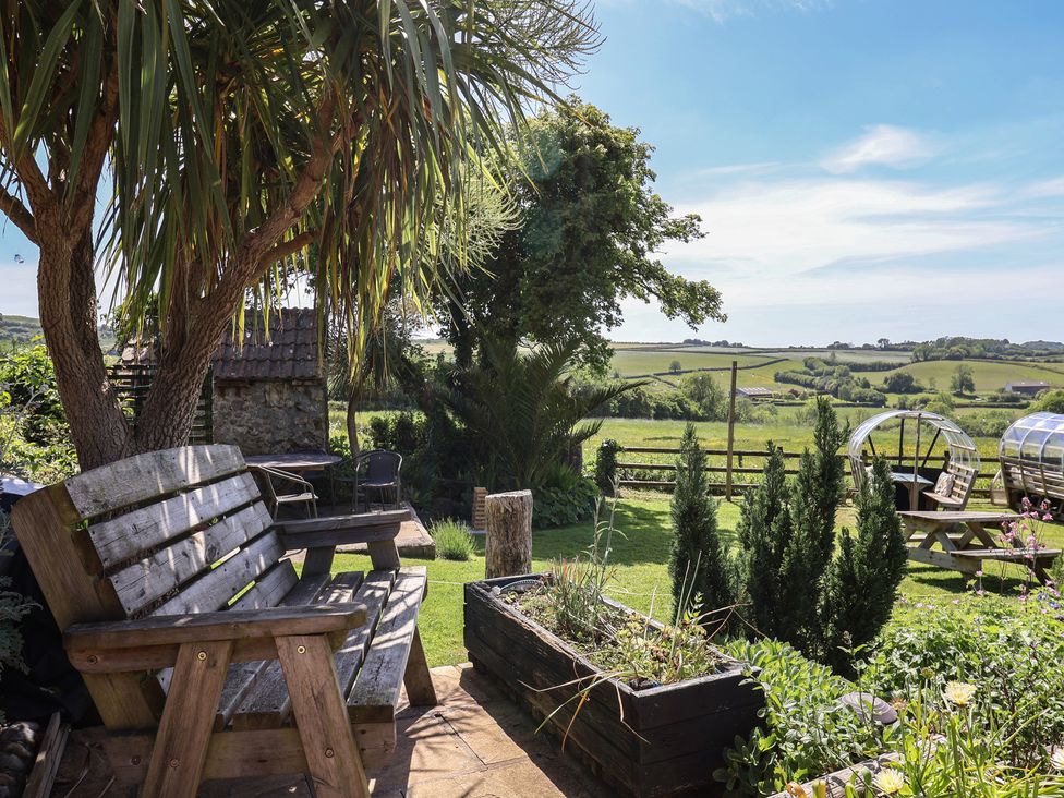 A wooden bench under a tree with plants and a garden area overlooking fields at Eggardon Rest Askerswell near Bridport