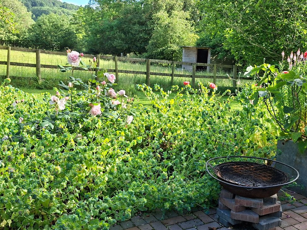 A garden with flowers, a grill and a shed at Evendine Hut @ Evendine Cottage, Colwall, Herefordshire