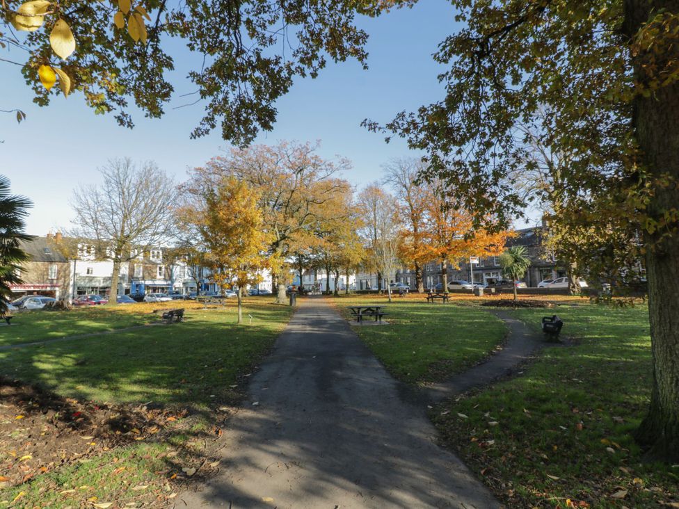 A park with trees and a pathway at Haven Cottage in Kirkcudbright