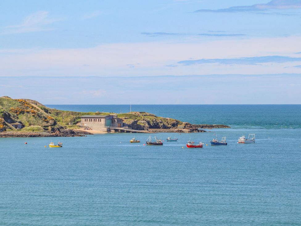 Sea Cliff - South Wales - 1145843 - thumbnail photo 3