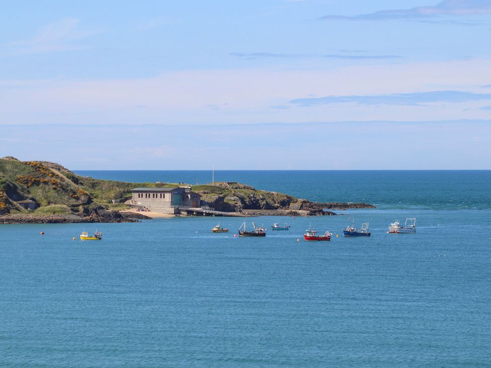 Sea Cliff - South Wales - 1145843 - thumbnail photo 13