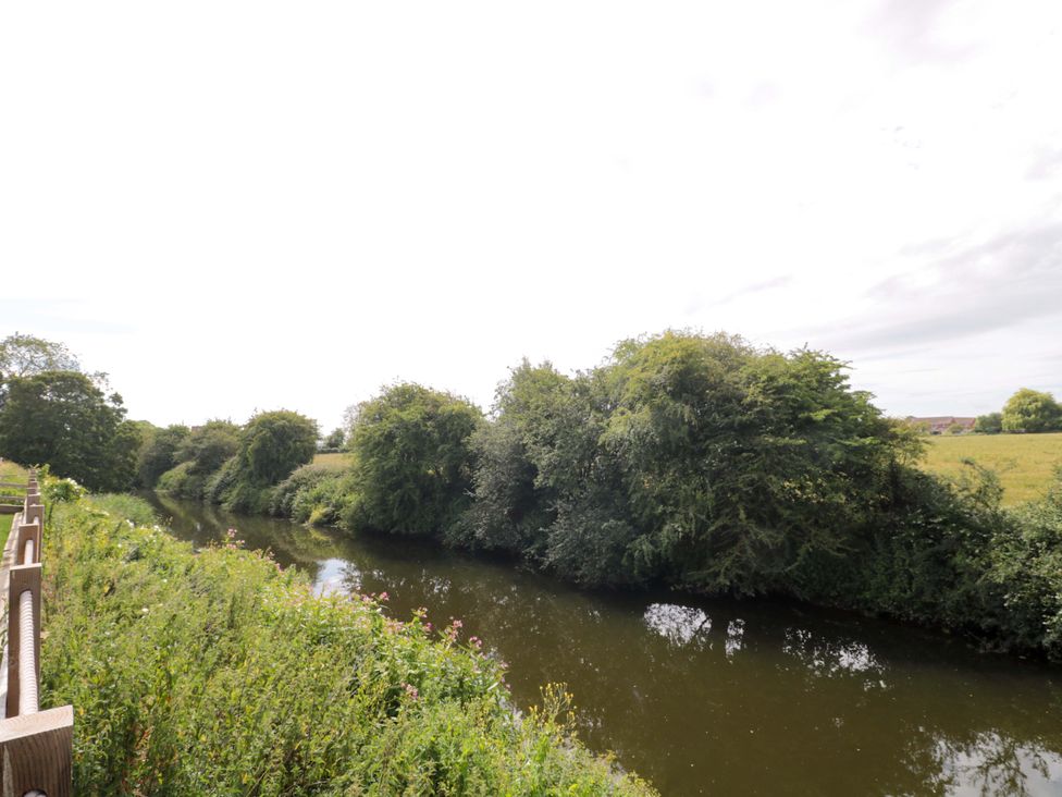 A river surrounded by trees and grass near Bason Bridge near Highbridge