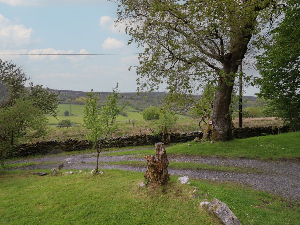 A view of a tree and pathway at The Long House in Penmachno