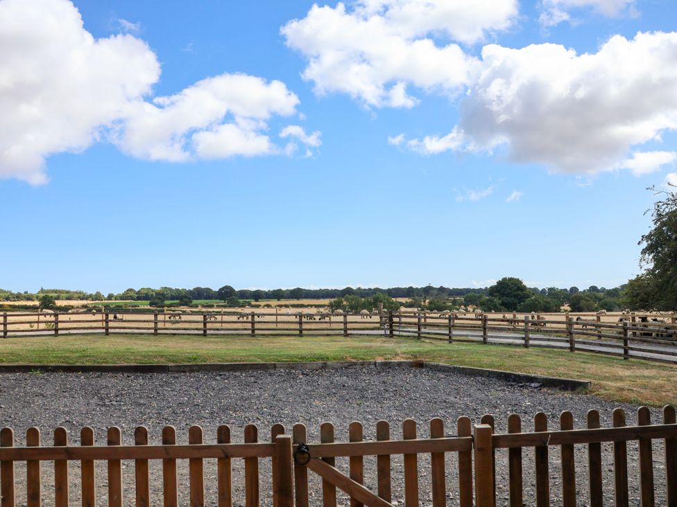 A view of a fenced area with grass and dirt at Hawthorn Cottage Silpho near Scalby