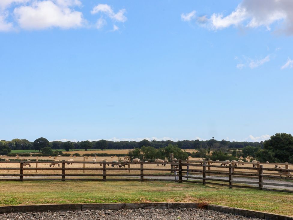 A view of a field with sheep and a fence at Hawthorn Cottage in Silpho near Scalby