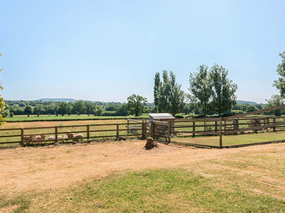 An outdoor area with a fence and sheep at Piglet Corner in Culmstock