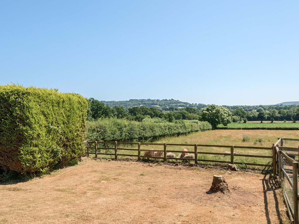 A view of a fenced outdoor area with trees and grass at Piglet Corner in Culmstock