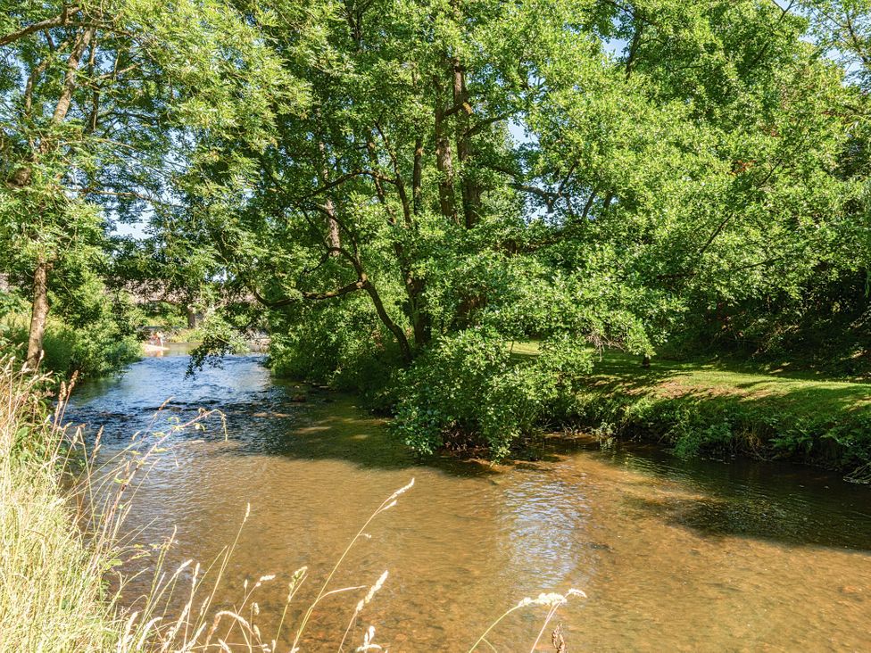 A river surrounded by trees and grass at Piglet Corner in Culmstock