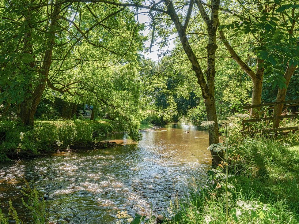 A river surrounded by trees and grass at Piglet Corner in Culmstock