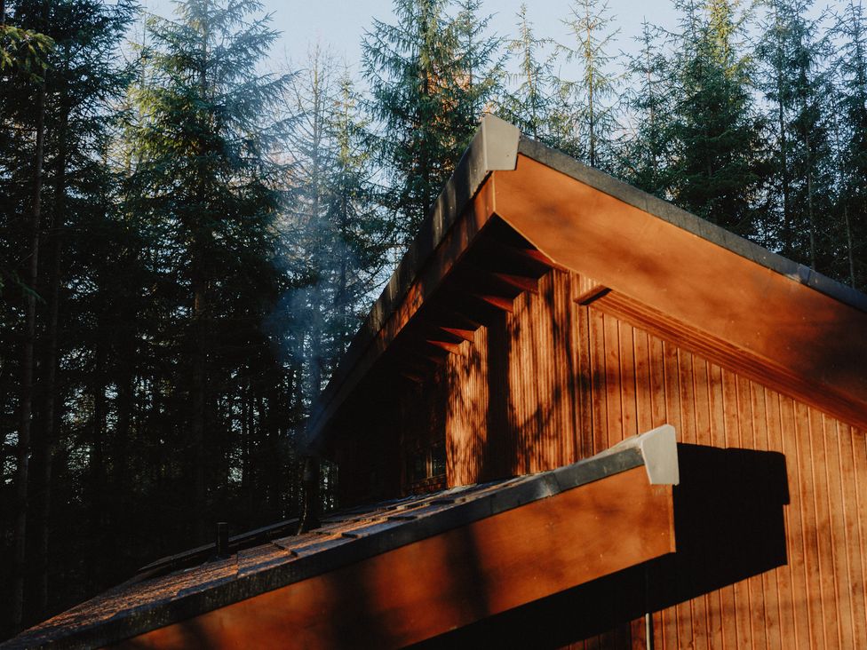 Glentress The Unfurl Treehouse - Scottish Lowlands - 1146629 - thumbnail photo 1