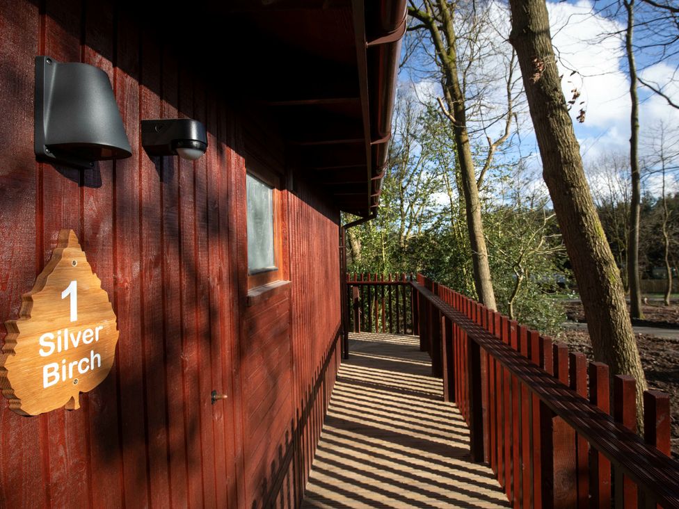 Forest of Dean Woodland - Silver Birch wheelchair accessible cabin - Cotswolds - 1146649 - thumbnail photo 1