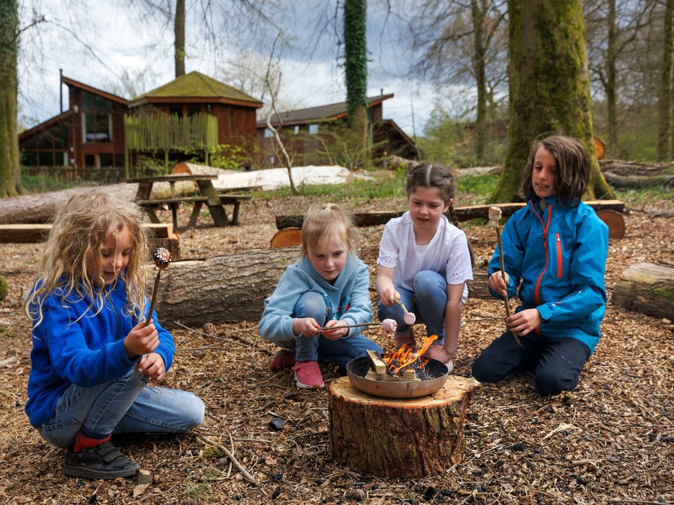 Forest of Dean Woodland - Silver Birch wheelchair accessible cabin - Cotswolds - 1146649 - thumbnail photo 11