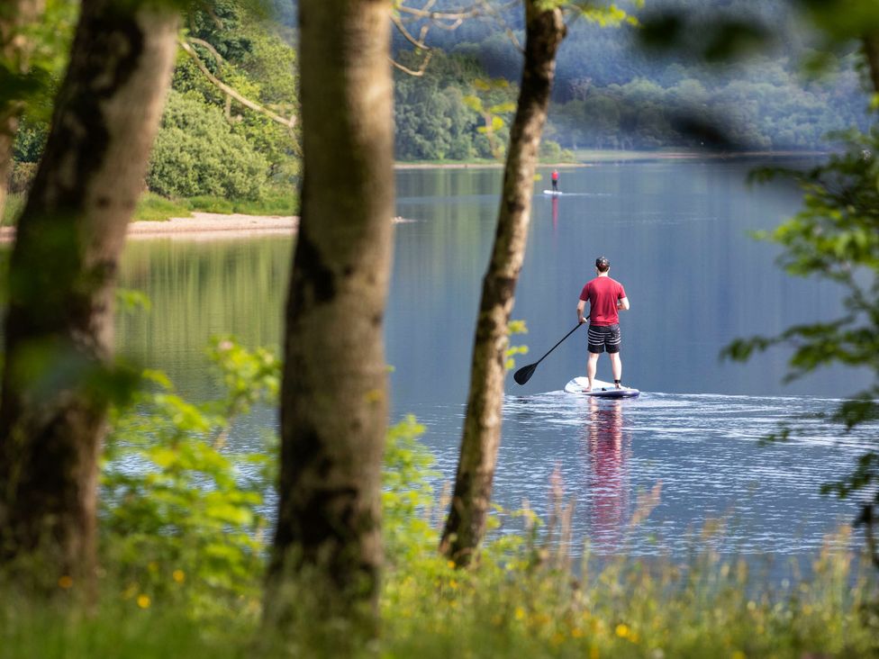 Strathyre Classic Silver Birch -  - 1146729 - thumbnail photo 18