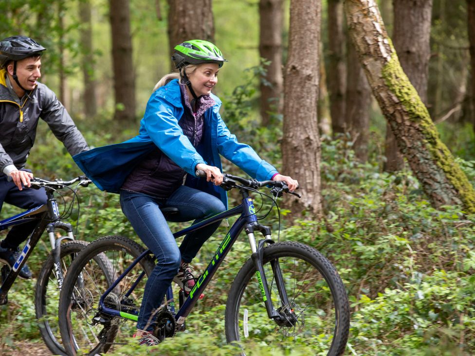 Two cyclists riding bicycles on a trail in a forest at Deerpark Classic Silver Birch Deerpark Forest
