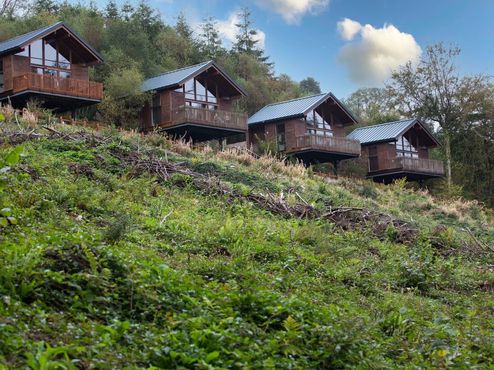 Four wooden cabins on a hillside at Deerpark Classic Silver Birch Deerpark Forest