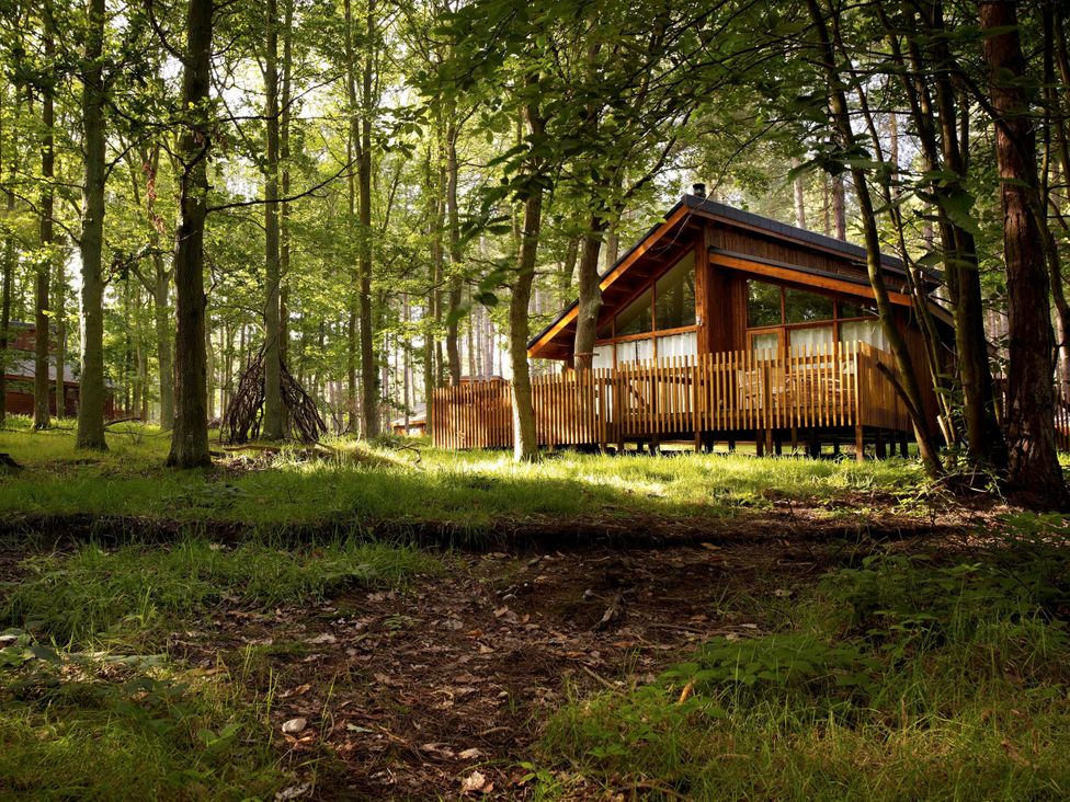 A wooden cabin surrounded by trees at Blackwood Forest Golden Oak in Blackwood Forest