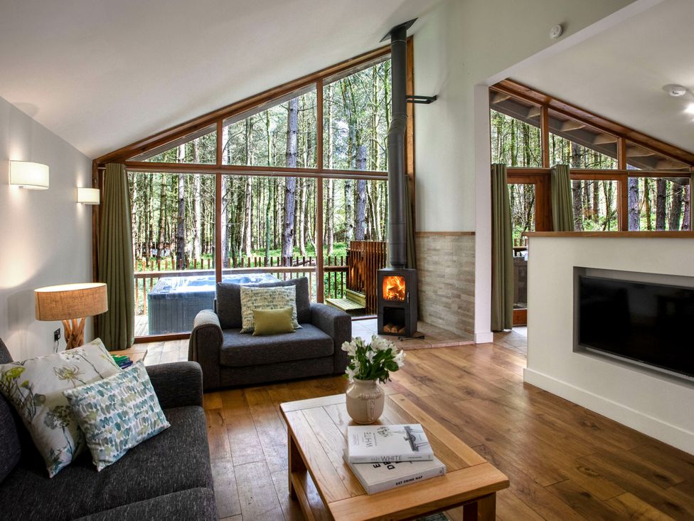 A living room with a sofa and wood stove at Blackwood Forest Golden Oak in Blackwood Forest