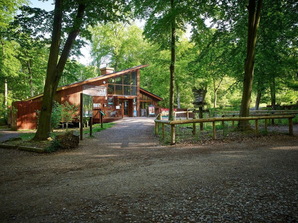 An outdoor area with a building and trees at Blackwood Forest Golden Oak in Blackwood Forest