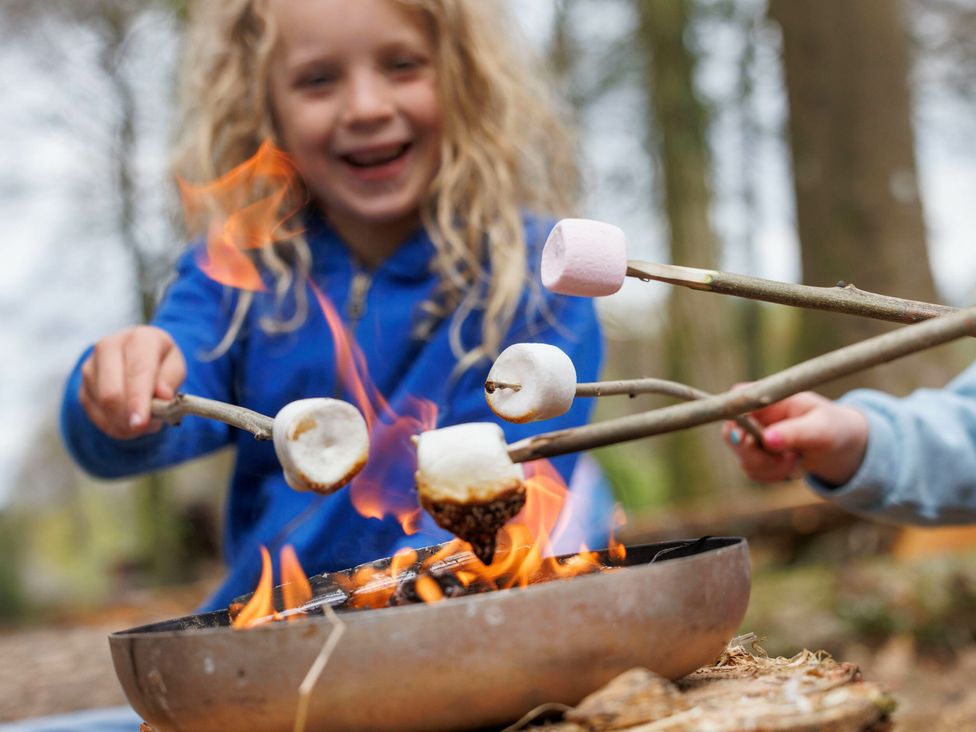 Children roasting marshmallows over a campfire in a forest setting at Blackwood Forest Golden Oak, Blackwood Forest