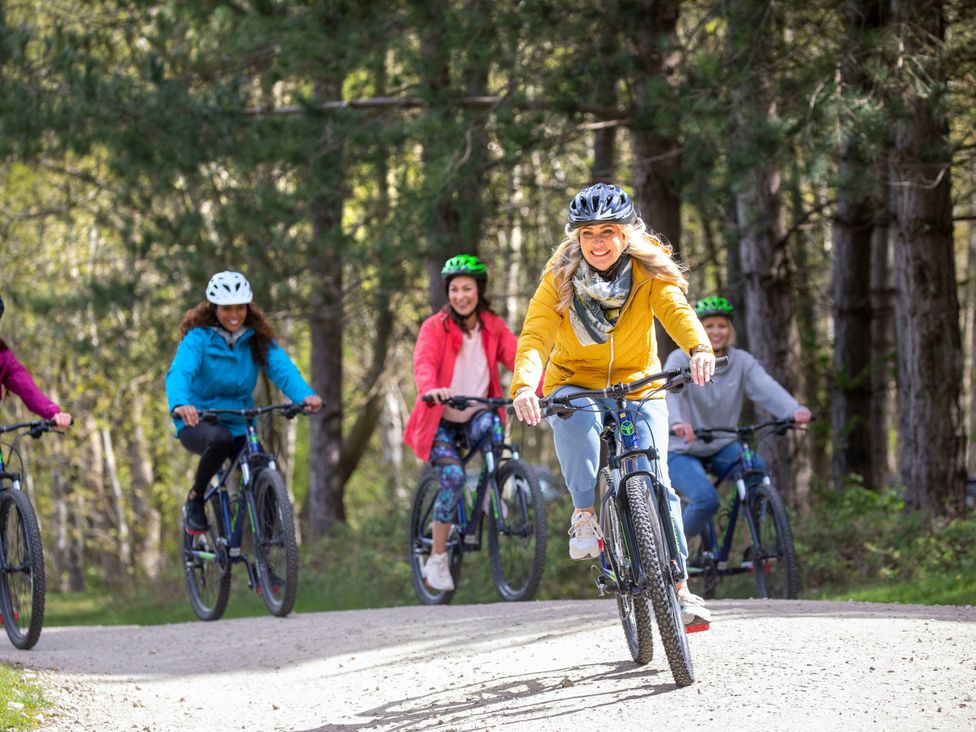A group of women riding bicycles on a trail in the forest at Blackwood Forest Golden Oak