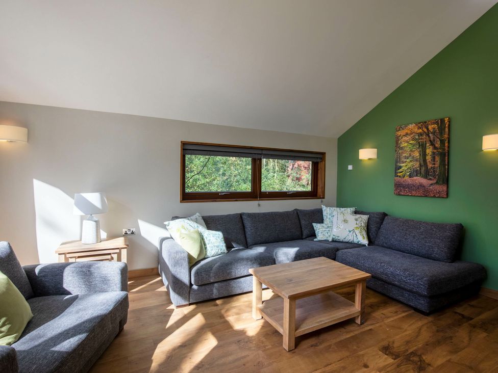 Forest of Dean Woodland - Golden Oak - Cotswolds - 1146912 - thumbnail photo 2