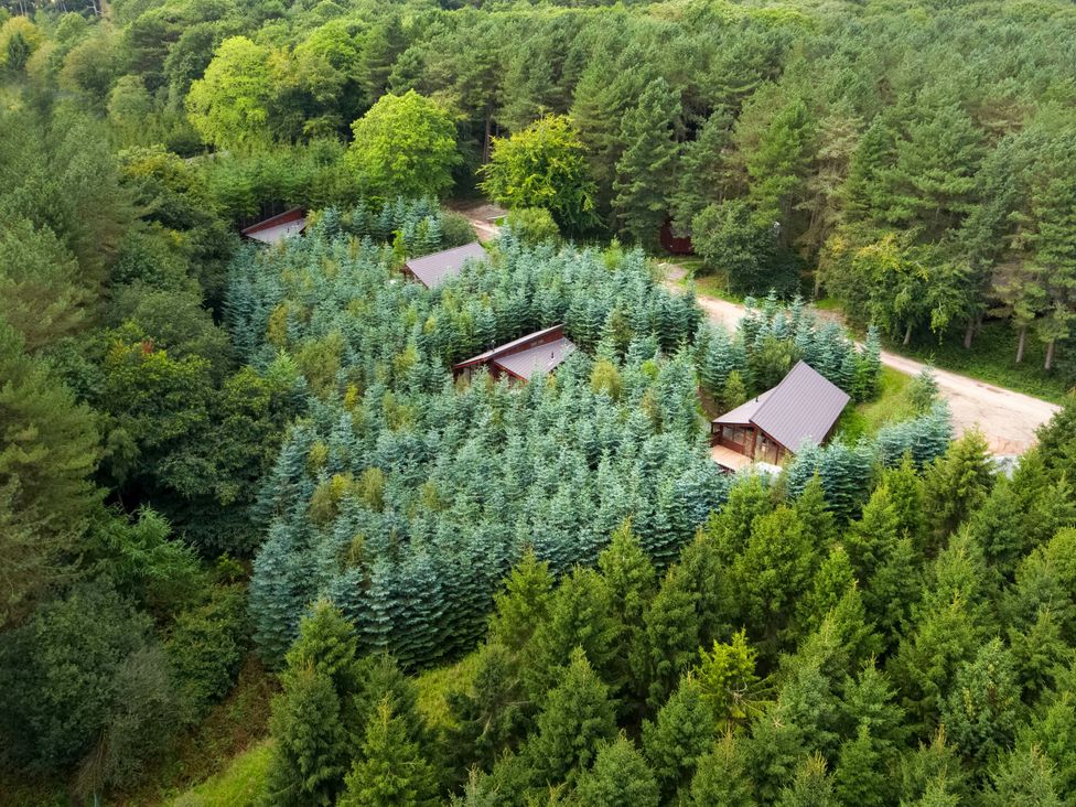 A view of cabins surrounded by trees at Delamere Forest Golden Oak Hideaway Delamere Forest