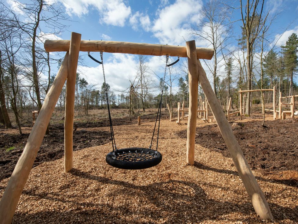 A swing set in a clearing surrounded by trees at Delamere Forest Golden Oak Hideaway, Delamere Forest