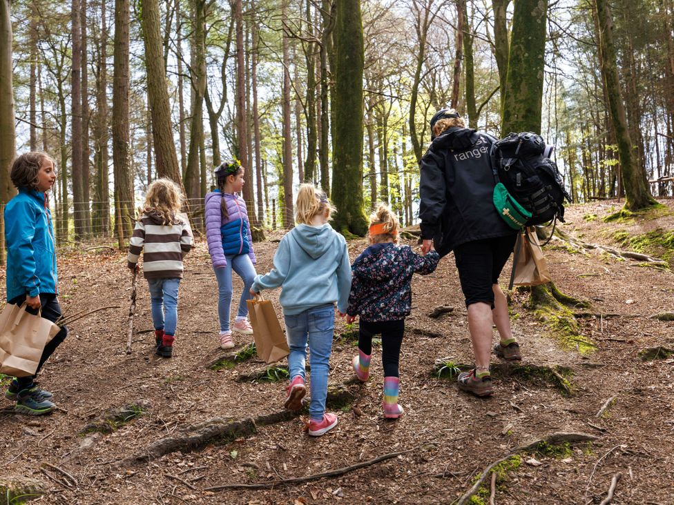 Children and an adult walking on a path through a forest at Delamere Forest Golden Oak Hideaway, Delamere Forest