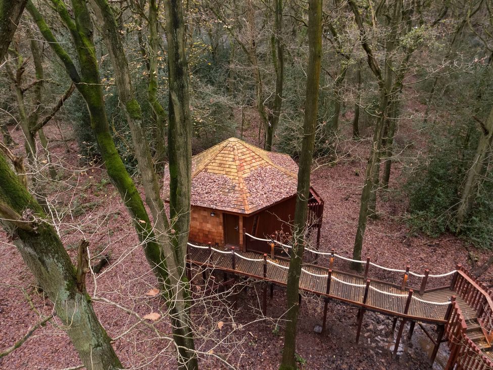 Glentress Forest Golden Oak Treehouse - Scottish Lowlands - 1146934 - thumbnail photo 6