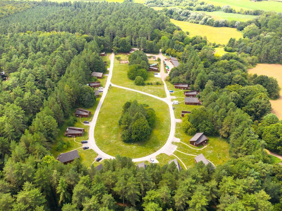 Thorpe Forest Golden Oak - Norfolk - 1146965 - thumbnail photo 11