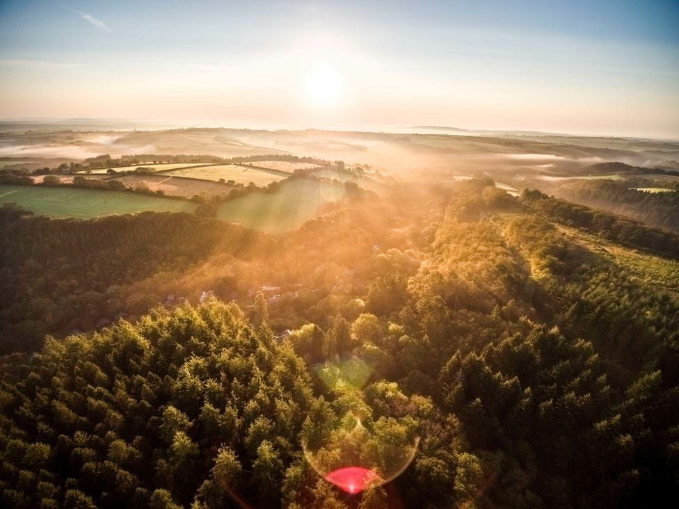 A landscape view of a forest and fields at sunrise at Deerpark Classic Golden Oak Waterside Deerpark Forest