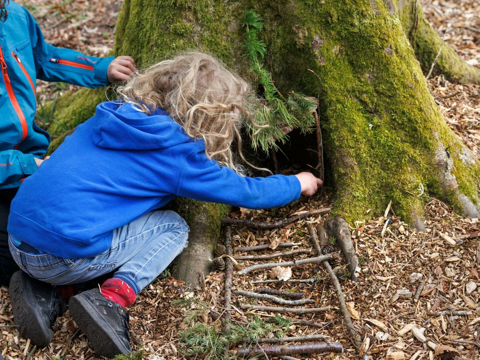 A child exploring a tree trunk with a ladder made of twigs at Cropton Golden Oak in Cropton Forest