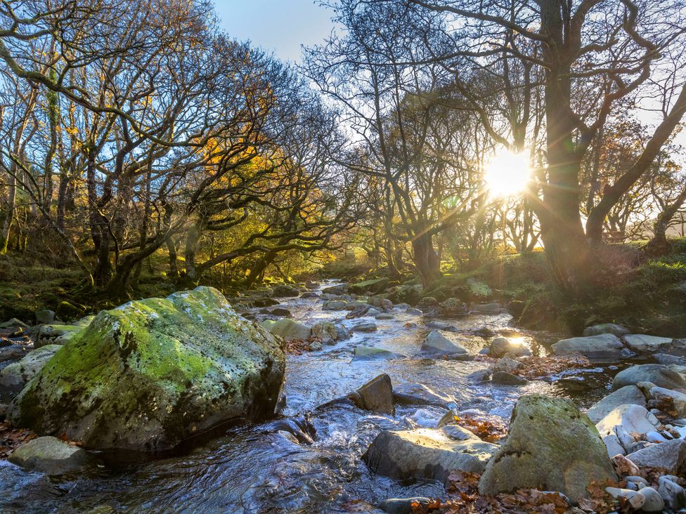 Beddgelert Golden Oak - freshly inspired design - North Wales - 1147190 - thumbnail photo 12