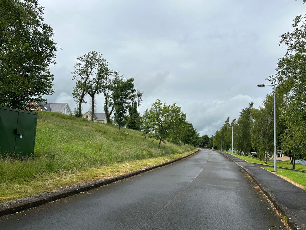 An outdoor scene with a road lined by trees and houses at 30 River Run in Belturbet