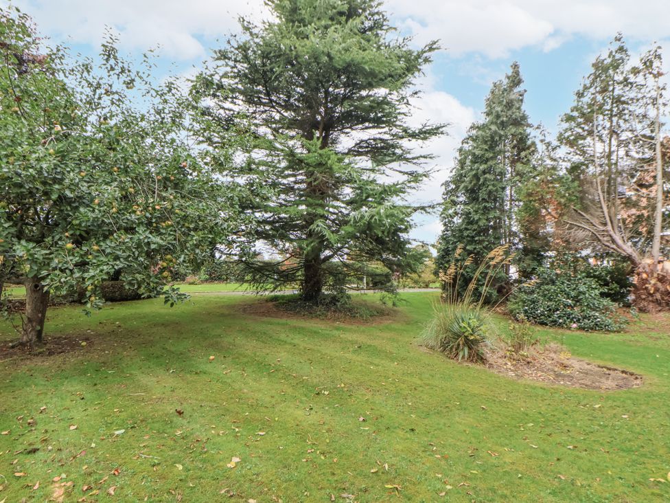 A garden with trees and grass at The House at School Farm in Hassall near Haslington