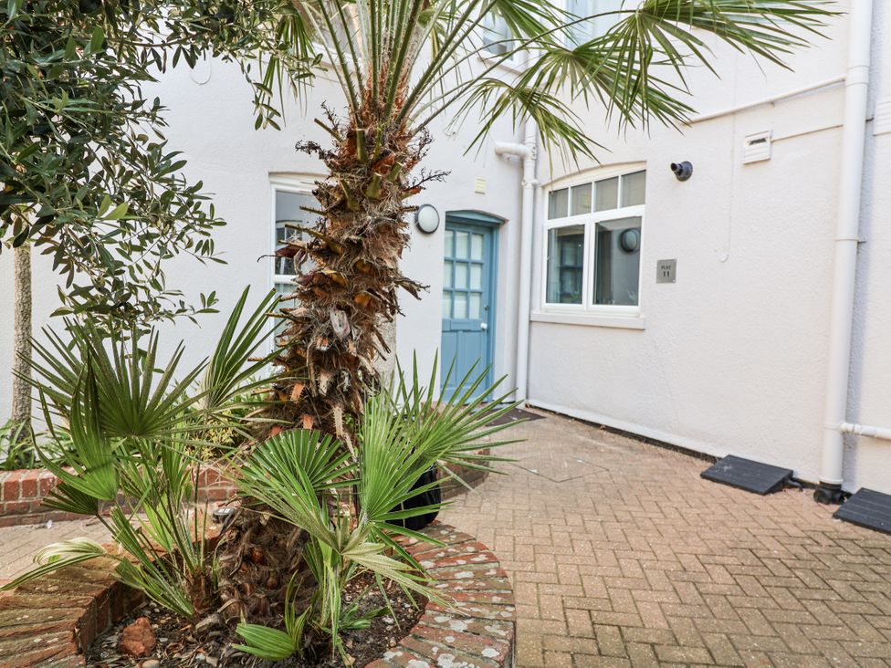 An outdoor courtyard with a palm tree and entrance door at 11 The Craighurst Southwold