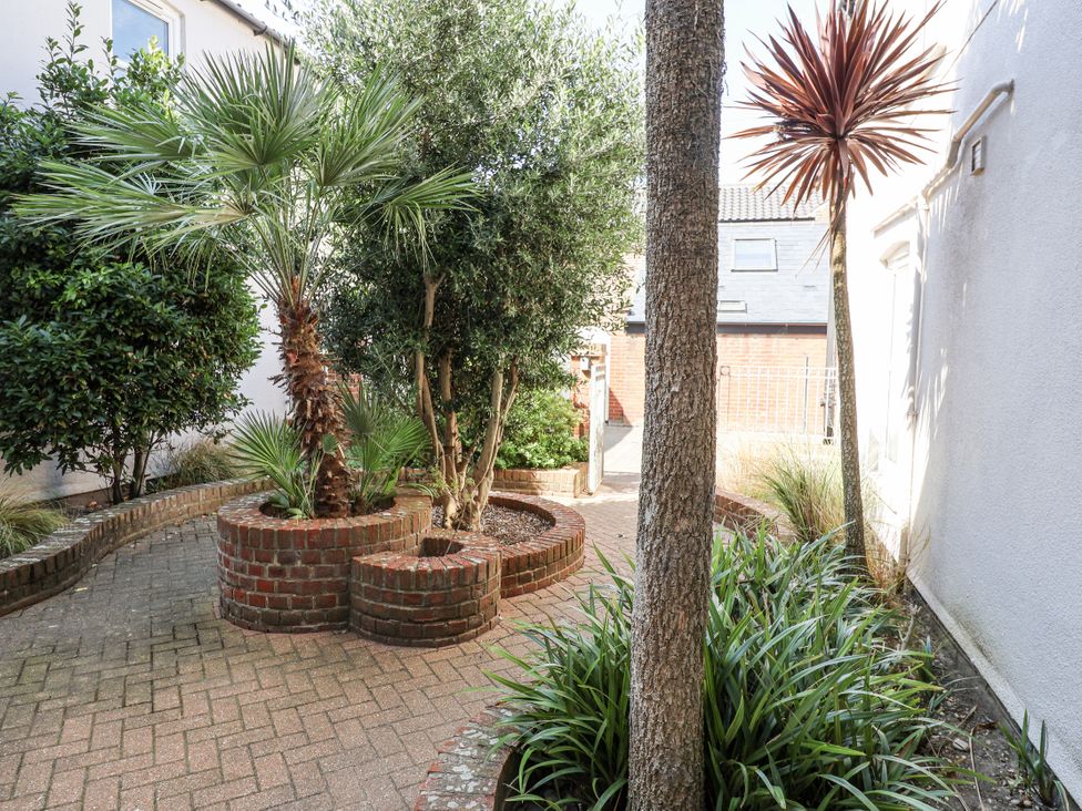 A garden with palm trees and brick pathways at 11 The Craighurst in Southwold