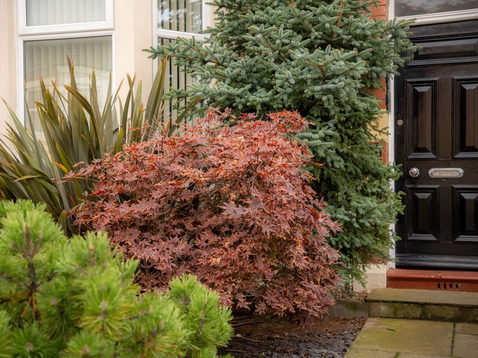 A garden with bushes and a front door at The George in Whitley Bay
