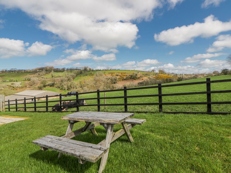 A picnic table in a field with cows and hills at Valley View Hideaway Ffostrasol